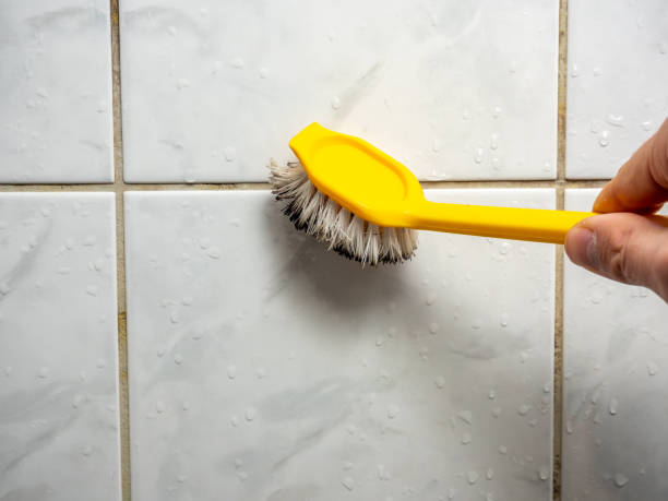 Best Localized Mold Remediation (e.g., coastal areas, humid climates) in Forsgate, NJ