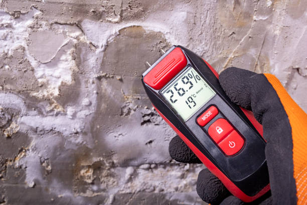 Best Bathroom Mold Remediation in Forsgate, NJ